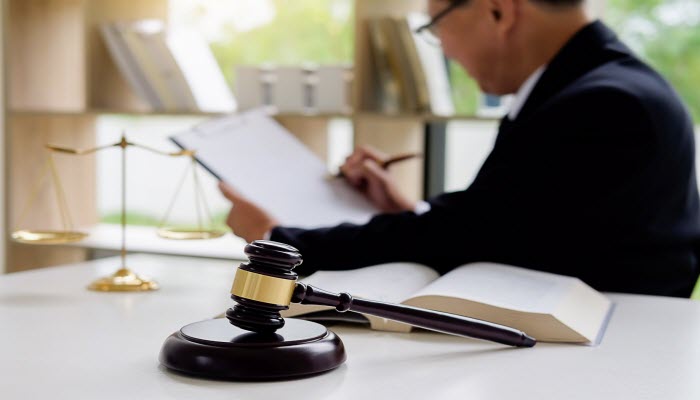 Litigation Support Services